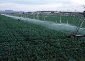 Subjects Required to Study Agriculture in Nigeria