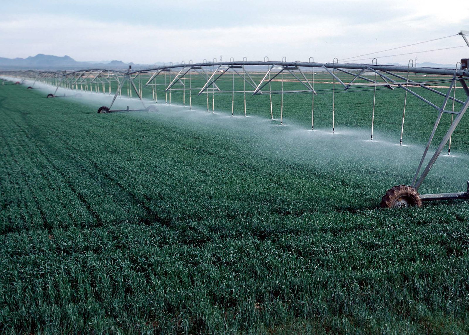 Subjects Required to Study Agriculture in Nigeria